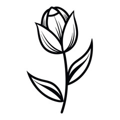 Vector art of outline drawing of a tulip bud isolated on white background