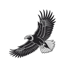 Black Eagle Flying Silhouette Vector Illustration