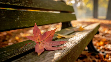 A maple leaf rests gently on the weathered old green wooden bench.  Selective focus. September, October autumn season concept.