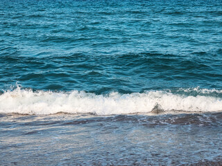 Sea wave on the sandy beach. Background with copy space for text