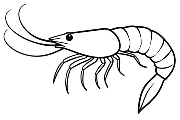 Black line showcases detailed shrimp with prominent whiskers and legs on white surface