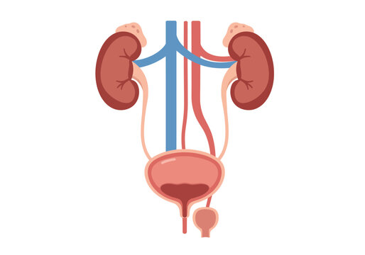 Онлайн порно жас тәжірибесіз