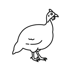 Helmeted Guineafowl Line Drawing Poultry Bird Illustration Farm Animal Graphic Black and White Vector