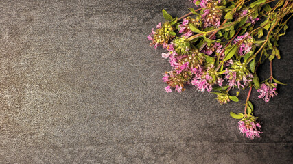 Fresh purple thyme flowers on textured gray table surface. Aesthetic background with natural herbs in a soft, earthy color palette with space for text for spa, wellness, culinary designs, and concepts