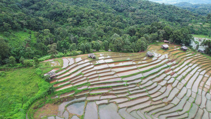 Aerial landscape view of rice terrace and mountain views