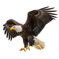 Fototapeta premium Majestic bald eagle in flight, isolated on transparent background, symbolizing freedom and strength