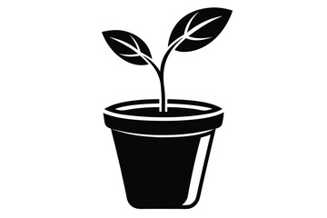 A little plant grows in a dark pot isolated against a solid white backdrop