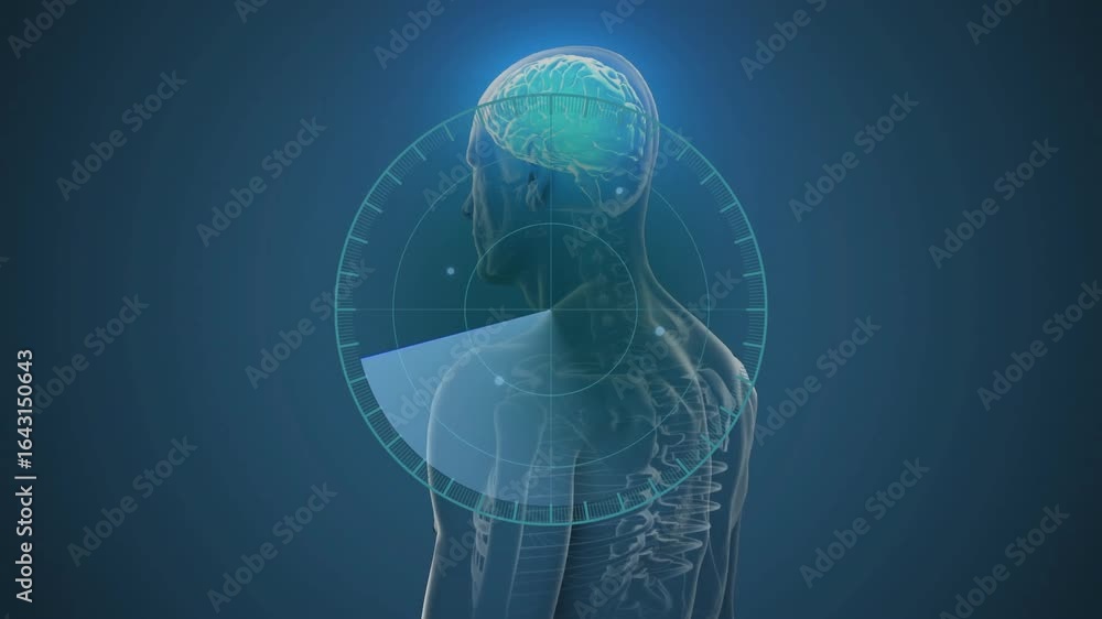 Poster on scan start 3d torso undergoing clockwise radar sweep with camera counter-rotating for full scan