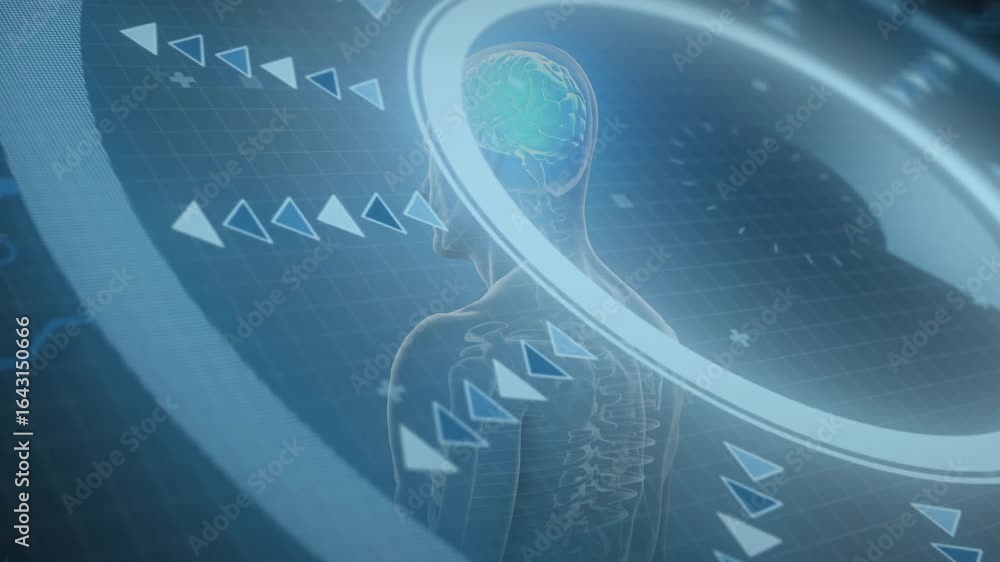 Poster ring sweeping, arrows animating, model rotating, brain pulsing for visualizing anatomical data