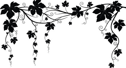 Silhouette of vine leaves and tendrils, decorative botanical design, black vector foliage, nature ornament, elegant frame element, graphic art