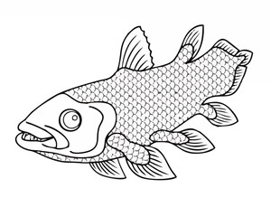 Sheila Cans Deep Sea Fish Cha...