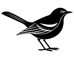 vector illustration of a bird