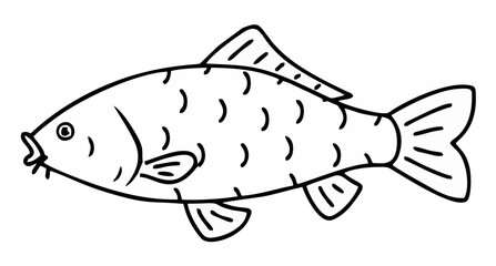Common carp isolated vector i...
