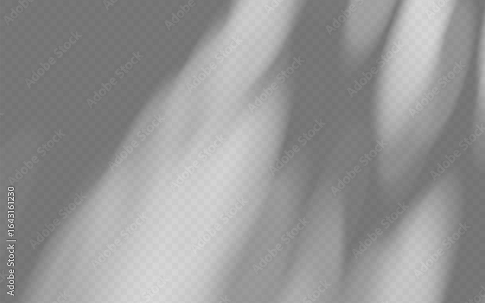 Wall mural abstract shadow overlay from tree branch on a transparent background.