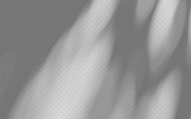 Abstract shadow overlay from tree branch on a transparent background.