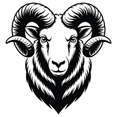 head of a ram