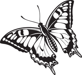 Detailed black and white swallowtail butterfly illustration