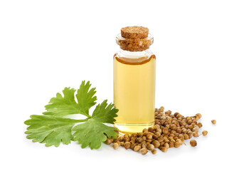 Aromatic oil in bottle, cilantro leaves and coriander seeds isolated on white