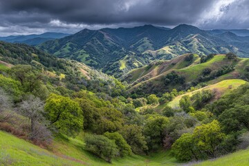 Obraz premium Mountain valley, lush greenery, dramatic clouds