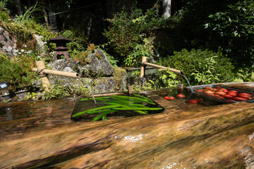 日本の田舎　夏の風景　冷やし野菜