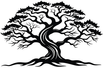 silhouette shows an old tree with twisted branches and roots isolated on white © SWORNALY