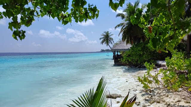Holiday home on the island of Kihaa Maldives, with a swing over the ocean, with a magnificent beautiful palm tree, surrounded by dense tropical vegetation and framed by snow-white beaches.