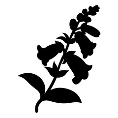 Black silhouette of a foxglove flower, a digital vector art piece © MST