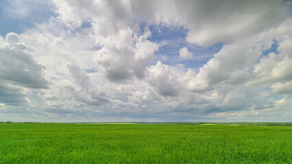 A Lush Green Field Flourishing Under a Dramatic and Cloudy Sky That Captivates the Eye