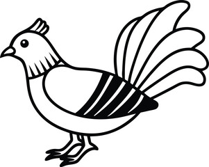 cartoon chicken vector illustration cute farm bird drawing