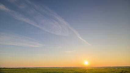 A Serene Sunrise Over Vast Green Fields in the Morning Light That Inspires Peace and Calmness