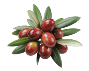 Red olives with green leaves isolated on white background for Mediterranean cuisine and food theme
