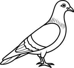Obraz premium Dove of peace vector illustration of a pigeon bird with wings and feathers silhouette cartoon design