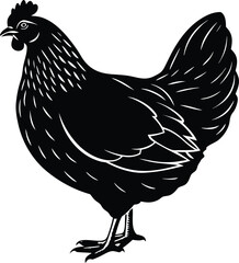 Rooster, hen, and chick farm birds isolated on white, with cartoon vector illustration and black silhouette fowl