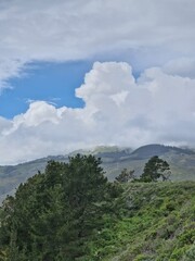 KRAJOBRAZ