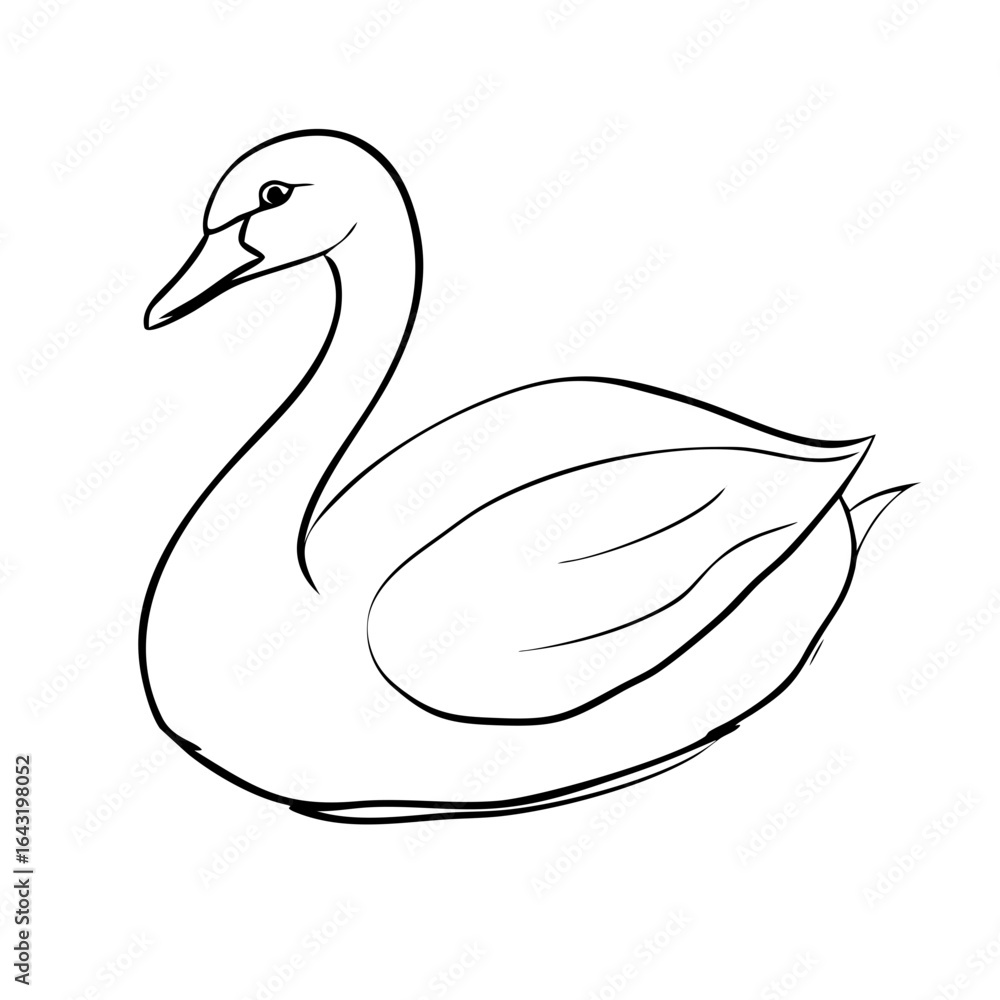 Poster sketch of a swan outlines bird, sketch of a swan in line art. artistic sketch of a swan shows waterf