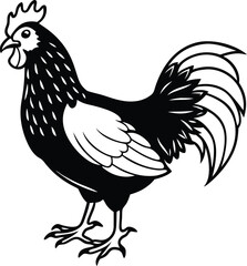 A proud red rooster with a hen on a white background, a detailed illustration of a farm animal with its chick
