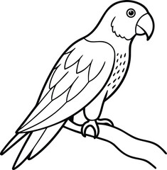 Fototapeta premium A vivid tropical parrot, with a colorful feather and sharp beak, perched on a branch