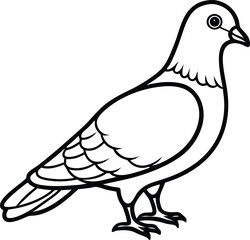 Vector illustration of a white pigeon or dove, a peaceful symbol of freedom, flying with outstretched wings