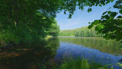The Serene Riverbank is Beautifully Surrounded by Lush Greenery and Vibrant Nature
