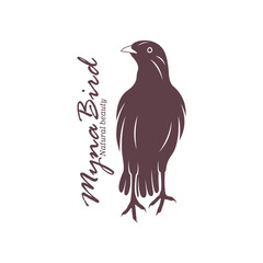 Obraz premium Myna Bird logo design vector. Silhouette Myna Bird Template Illustration