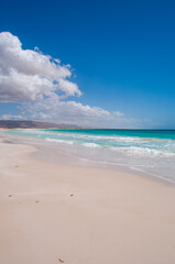 Socotra, Yemen: breathtaking and panoramic view of the protected area of Aomak beach on the island which is home to a high number of endemic species and center of unique biodiversity 