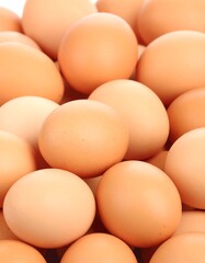 Close-up of many eggs