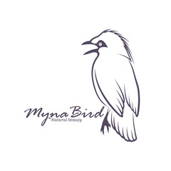 Obraz premium Bali Myna Bird logo design vector. Silhouette Myna Bird Template Illustration