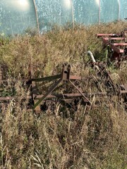 maszyny rolnicze zarośnięte chwastami i trawą © Piotr