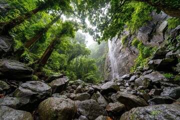 Obraz premium Lush rainforest waterfall cascading down a rocky cliff face