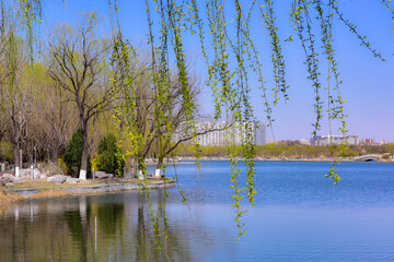 The rivers, bridges, and sidewalks in the urban parks of Tangshan, China form a beautiful skyline...