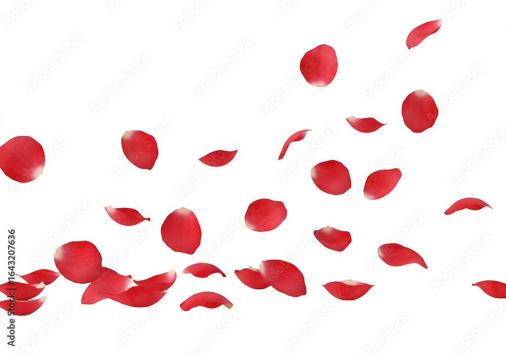 Poster red rose petals falling in a dynamic scattering motion, isolated on a clean transparent background f