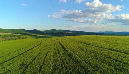 Fototapeta premium Expansive green field stretches to hills under a partly cloudy sky (1)