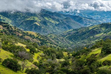 Fototapeta premium Mountainous valley, lush greenery, rolling hills