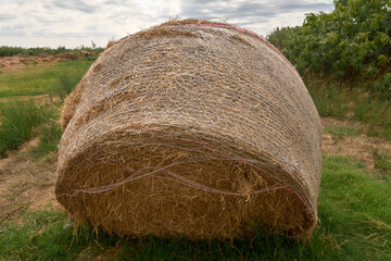 A close-up of a large, round hay bale resting on green grass in a field, highlighting the texture...